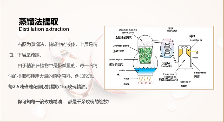 純奢按摩精油44