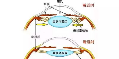 除了精油眼貼，這三種護眼方法也同樣好用！